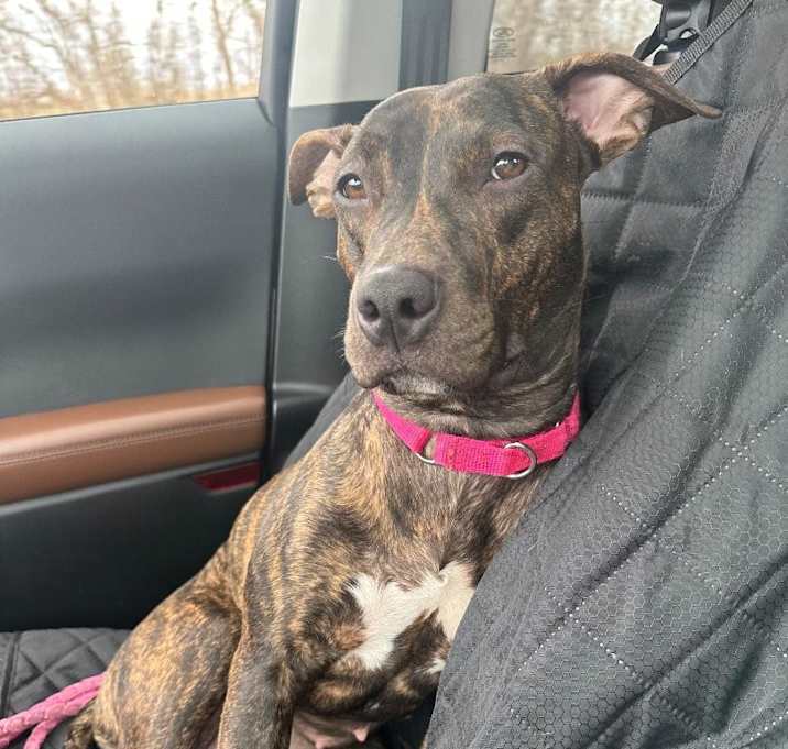 Photo of Arya