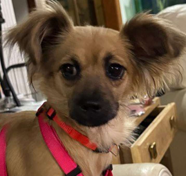 Photo of Ginny