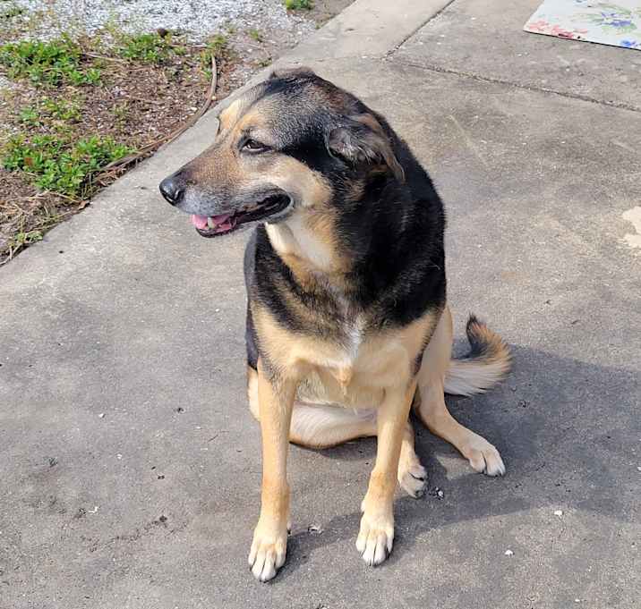 Photo of Willow