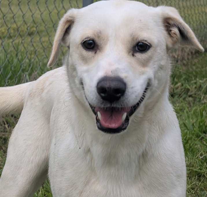 Photo of Thelma