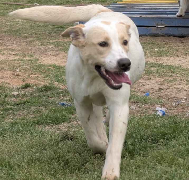 Photo of Juanita