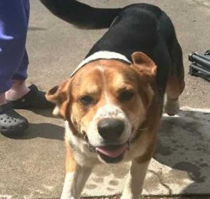Photo of Milo