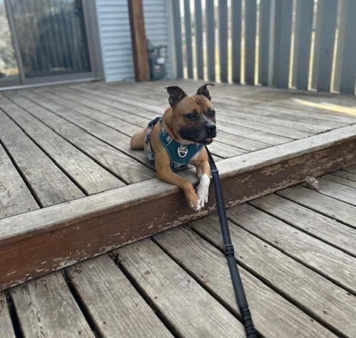 Photo of Jack Jack