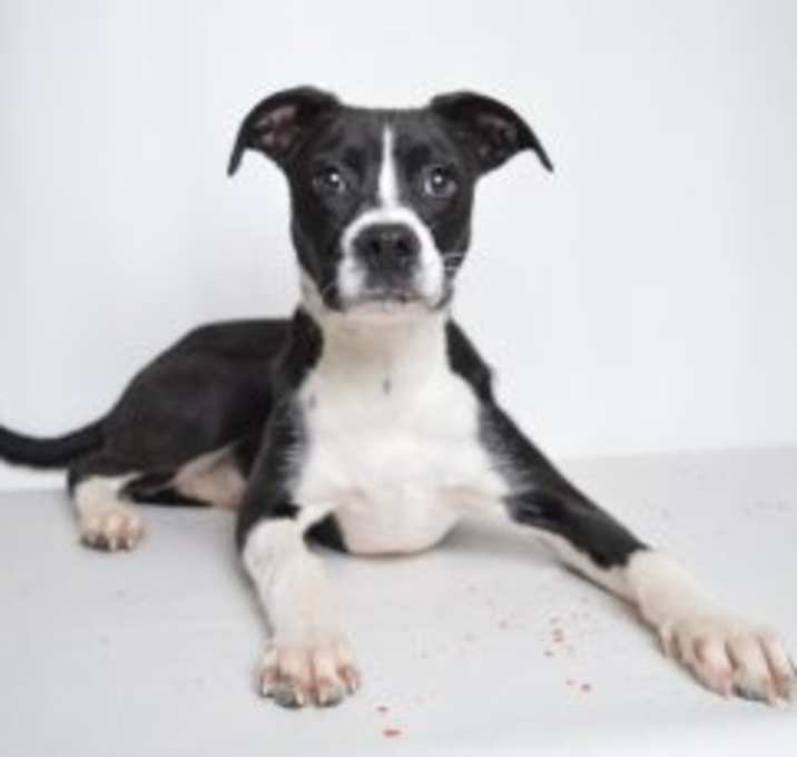 Photo of Baxter (prison)