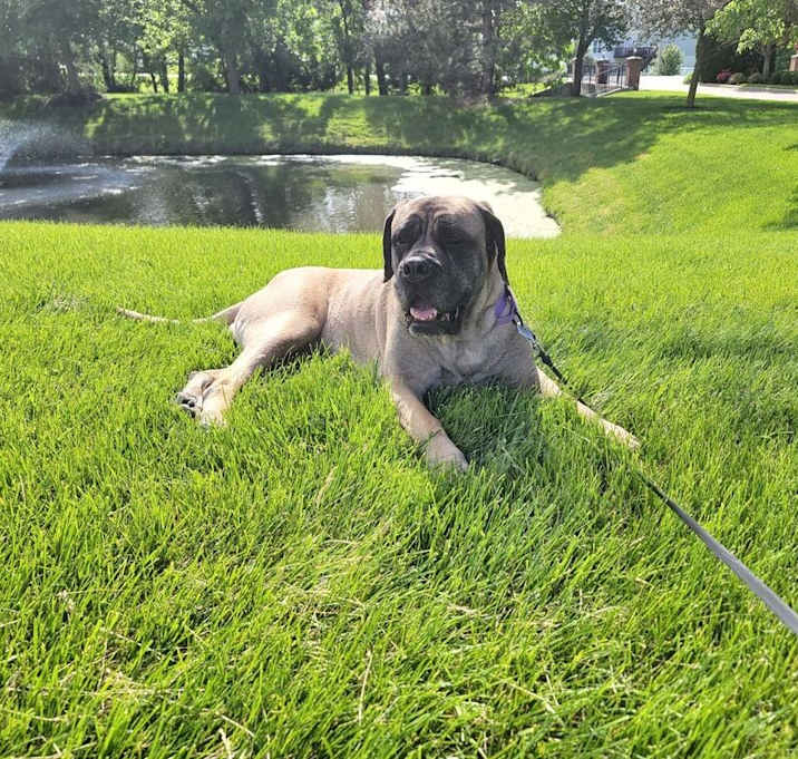 Photo of Arabella