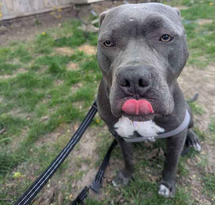 Photo of Ashe