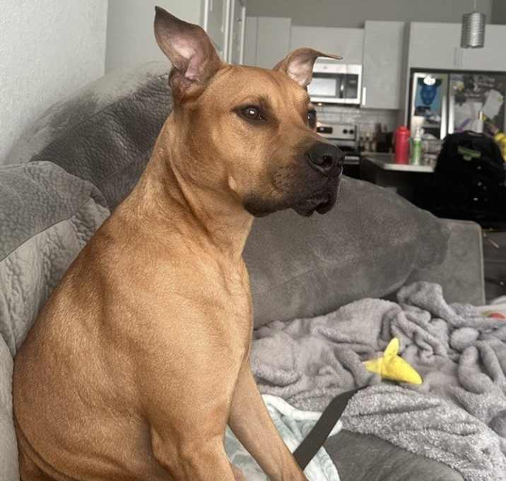Photo of Reese