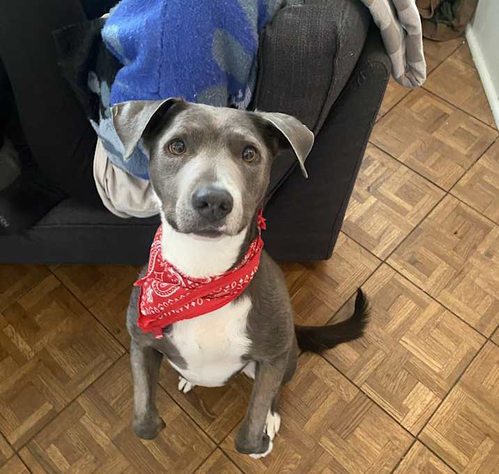 Photo of Simon