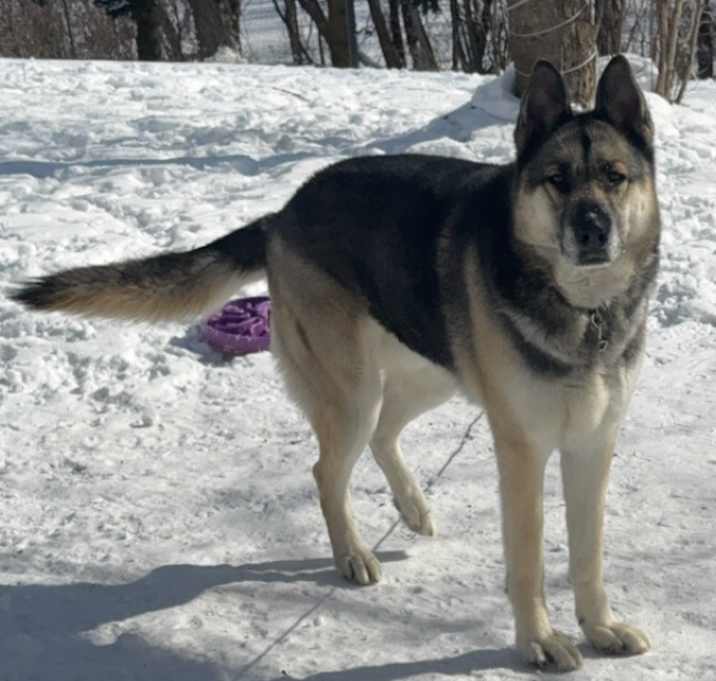 Photo of Chase