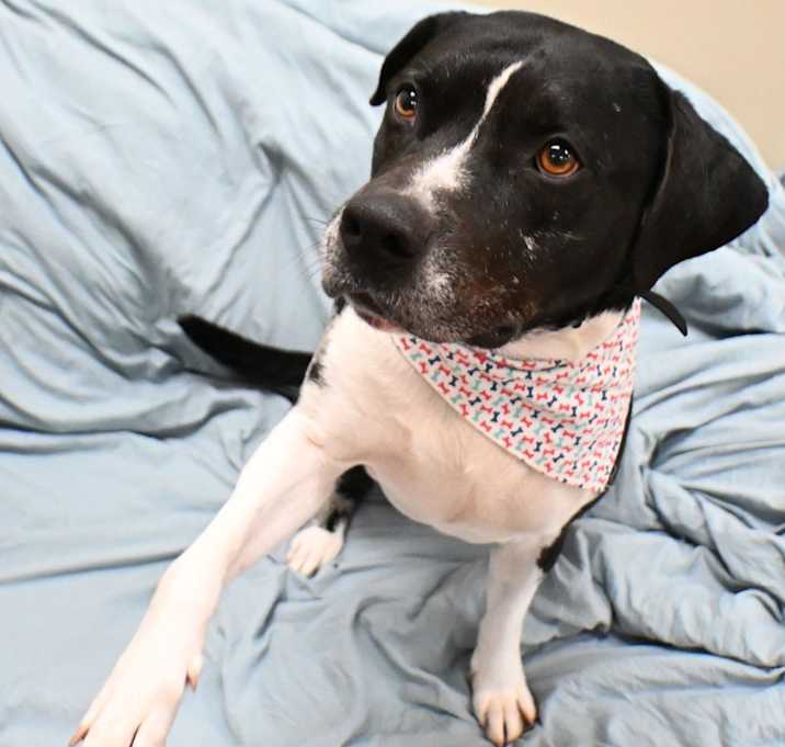 Photo of Charlie