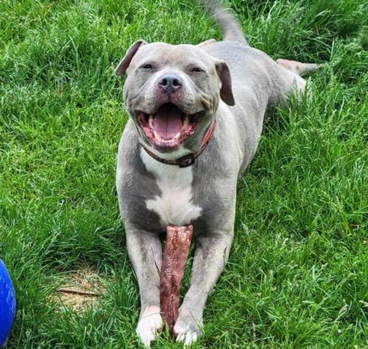 Photo of Meatball