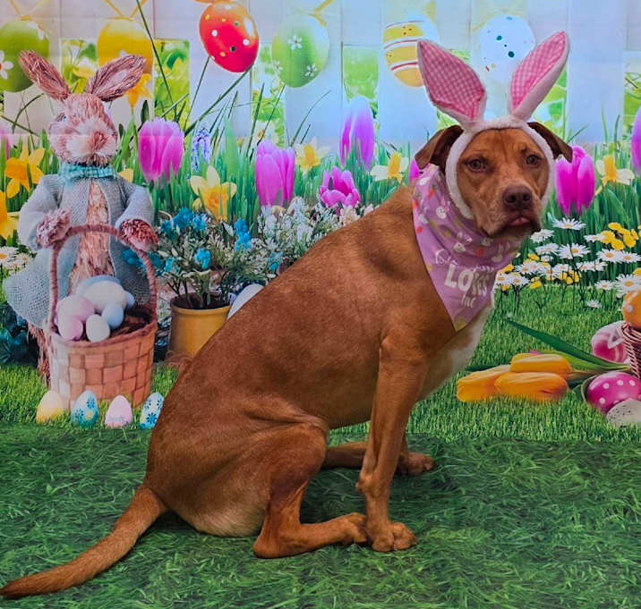 Photo of Ginny