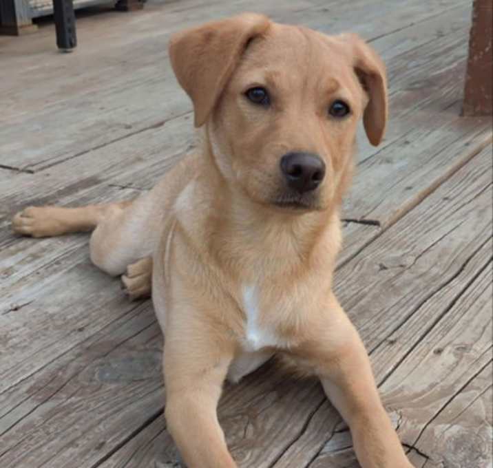 Photo of Teensy-Weensy