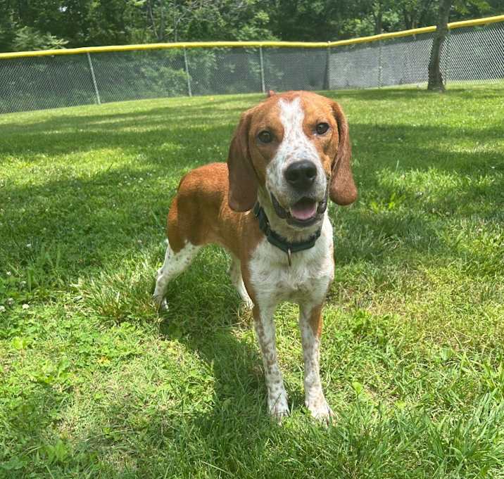 Photo of Slim Jim
