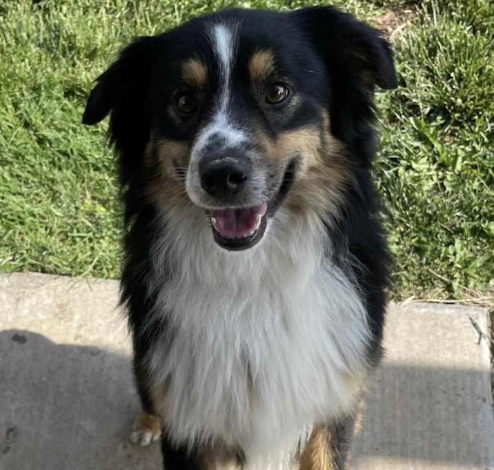 Photo of Barney
