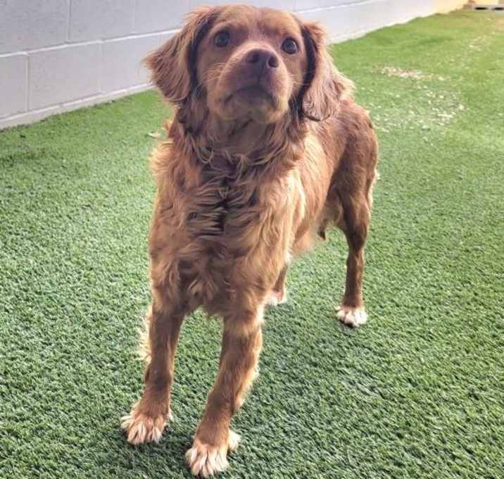 Photo of Ivy 9304