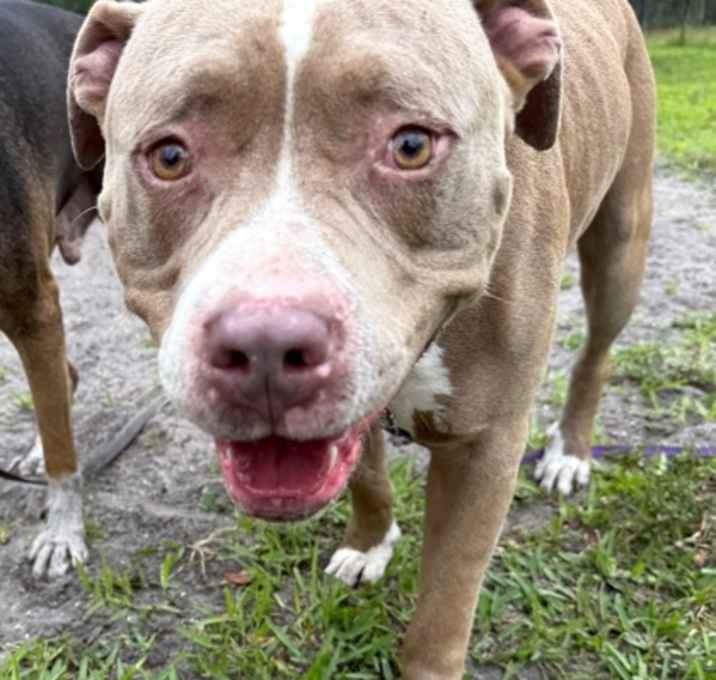 Photo of Tank