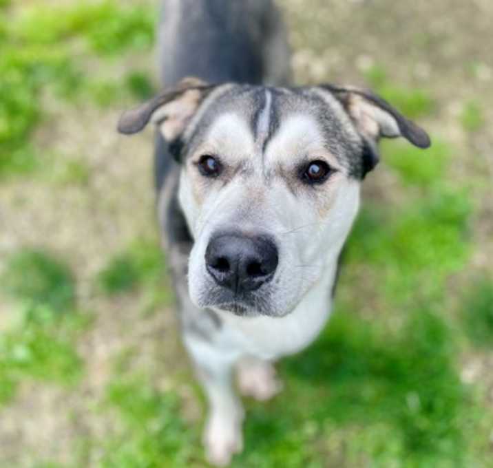 Photo of Silas
