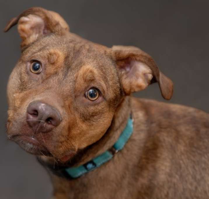 Photo of Maverick