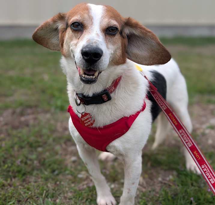 Photo of Wallace
