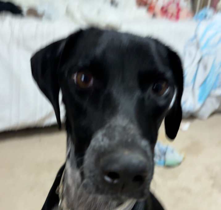 Photo of mocha