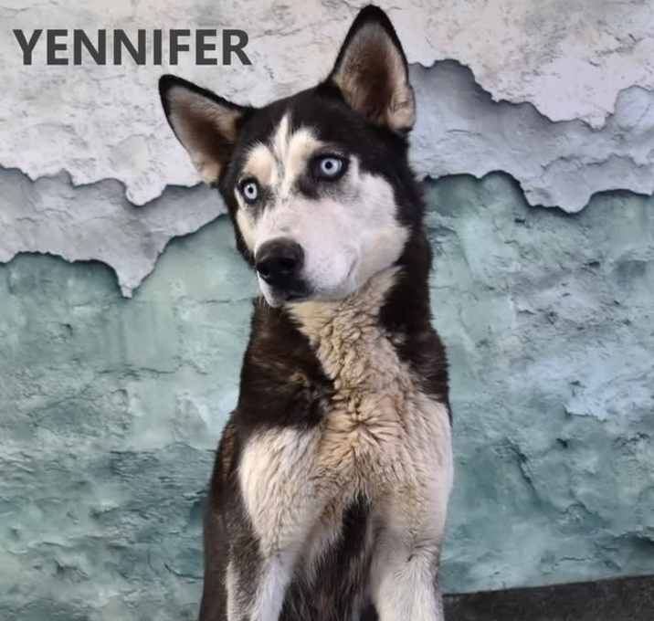 Photo of Yennifer 