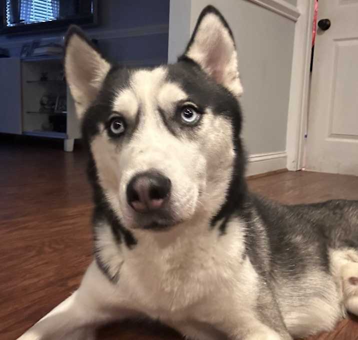 Photo of Alpha