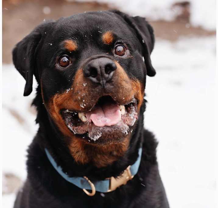 Photo of Zero