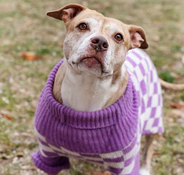 Photo of Elsa