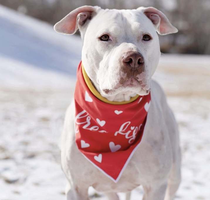 Photo of Olaf