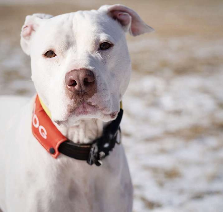 Photo of Olaf