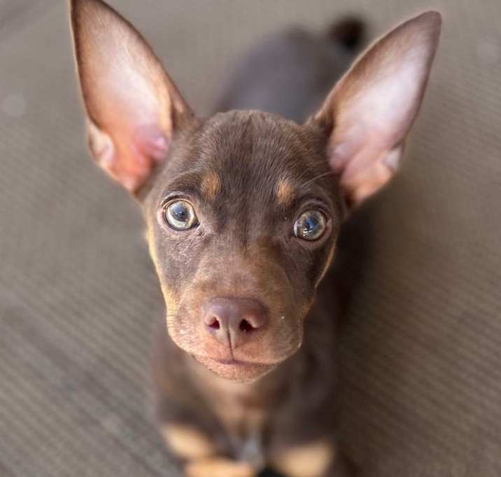 Photo of Nubz