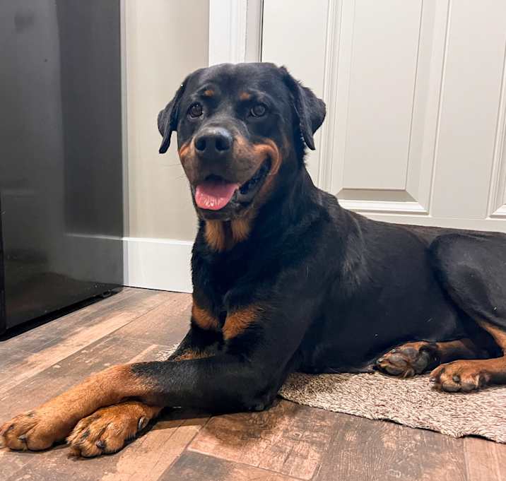 Photo of Charlie