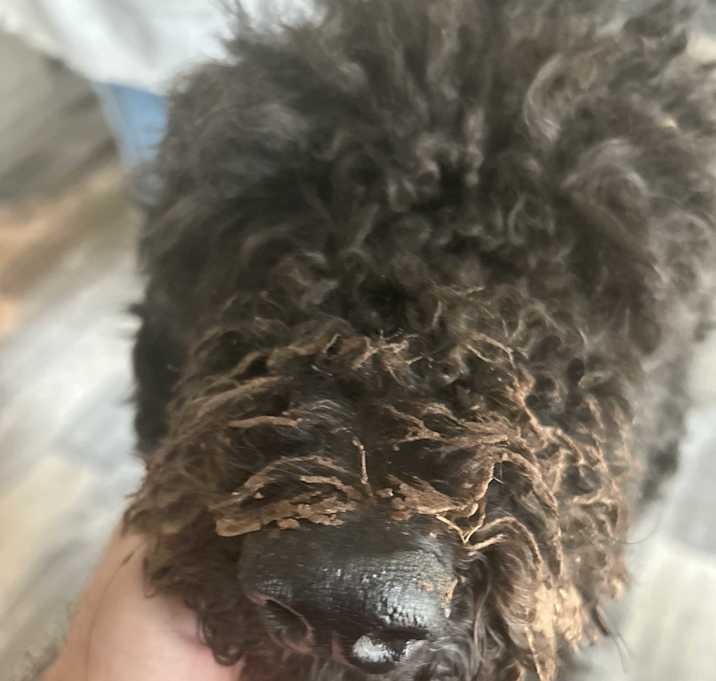 Photo of Cash