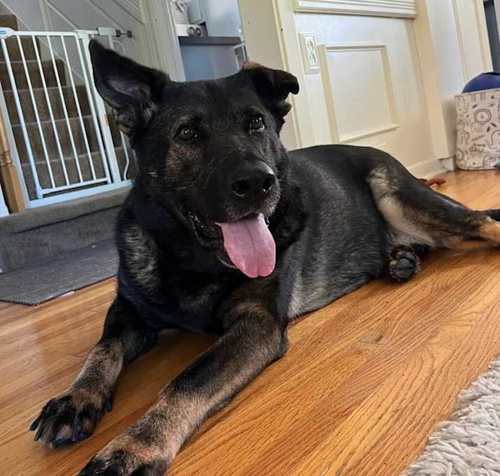 Photo of Luna