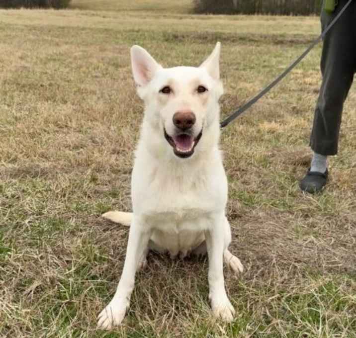 Photo of Libby