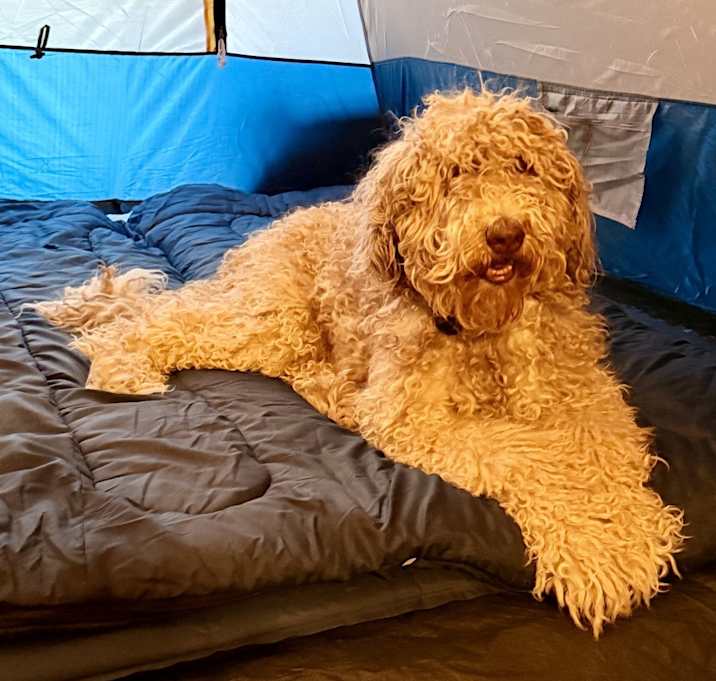 Photo of Denali