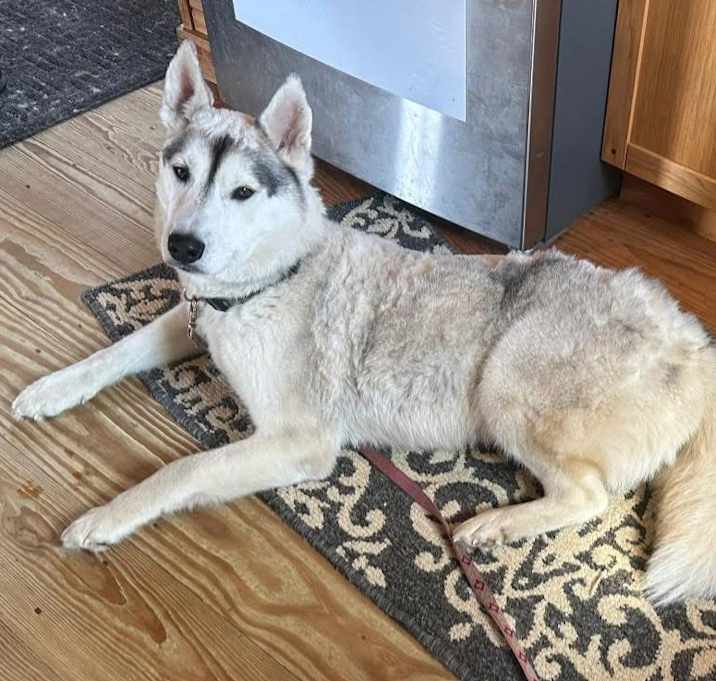 Photo of Oakley