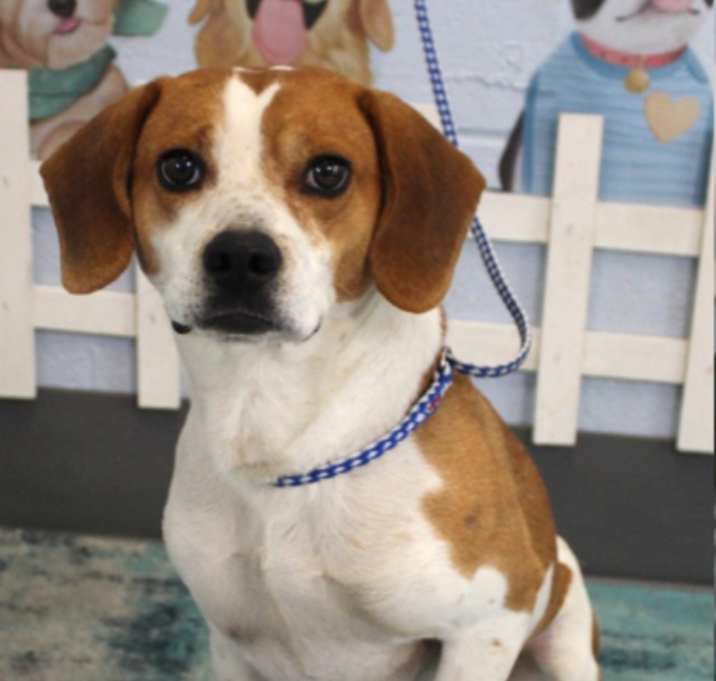 Photo of Sam URGENT HELP !!