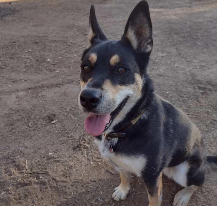Photo of Izzy