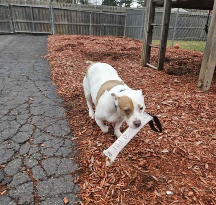 Photo of Roxy
