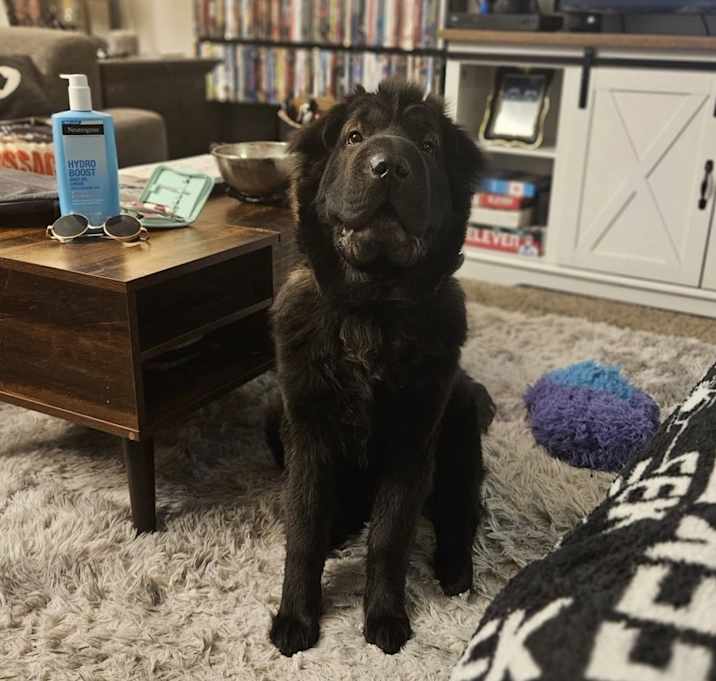 Photo of Oso
