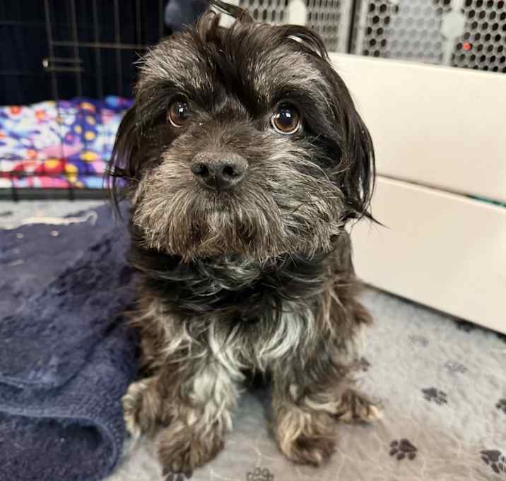 Photo of Wendy