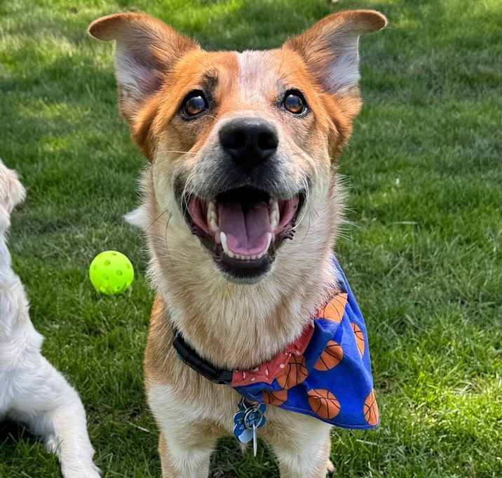 Photo of Cash
