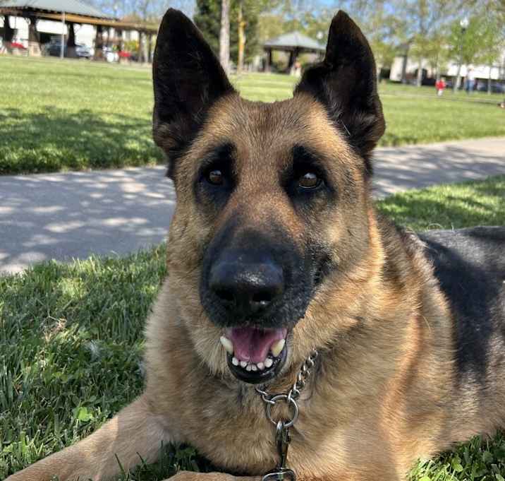 Photo of Tyson