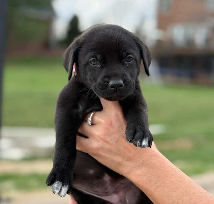 Photo of Sheriff Walt