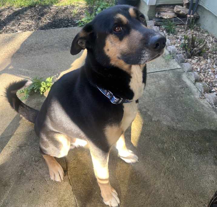 Photo of Drako