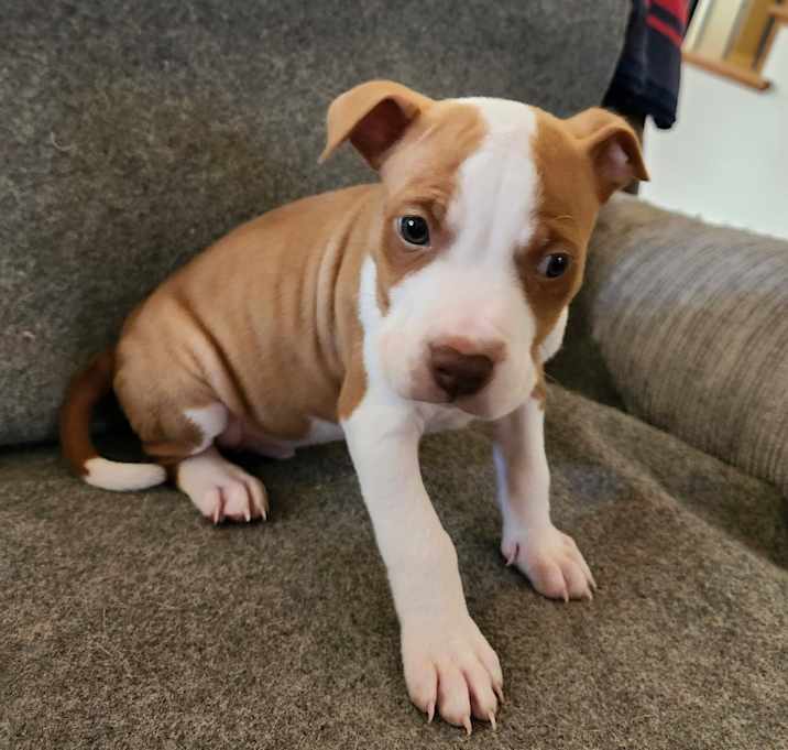 Photo of Charlie