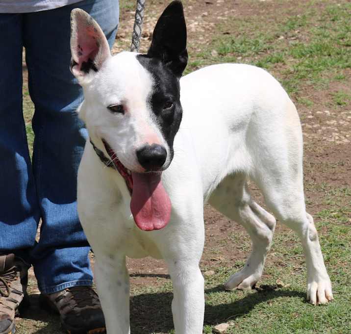 Photo of Jinx