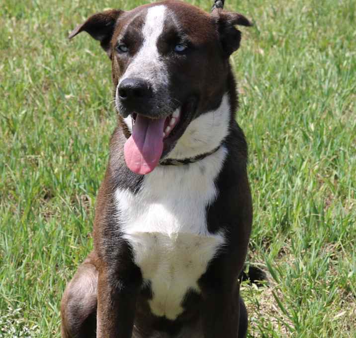 Photo of Duke